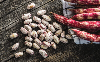Beans and blessings